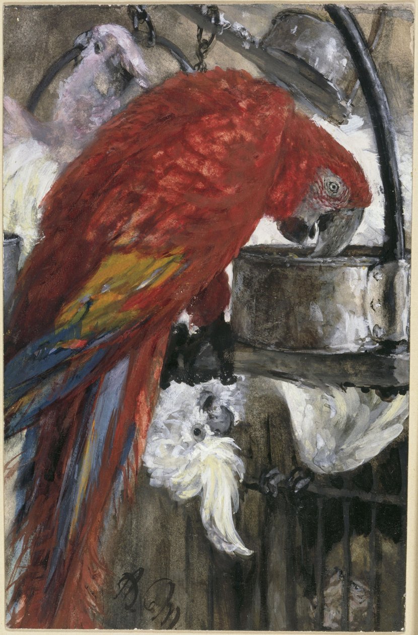 De rode ara en de kaketoes. Uit het „Kinderalbum“ door Adolph Menzel