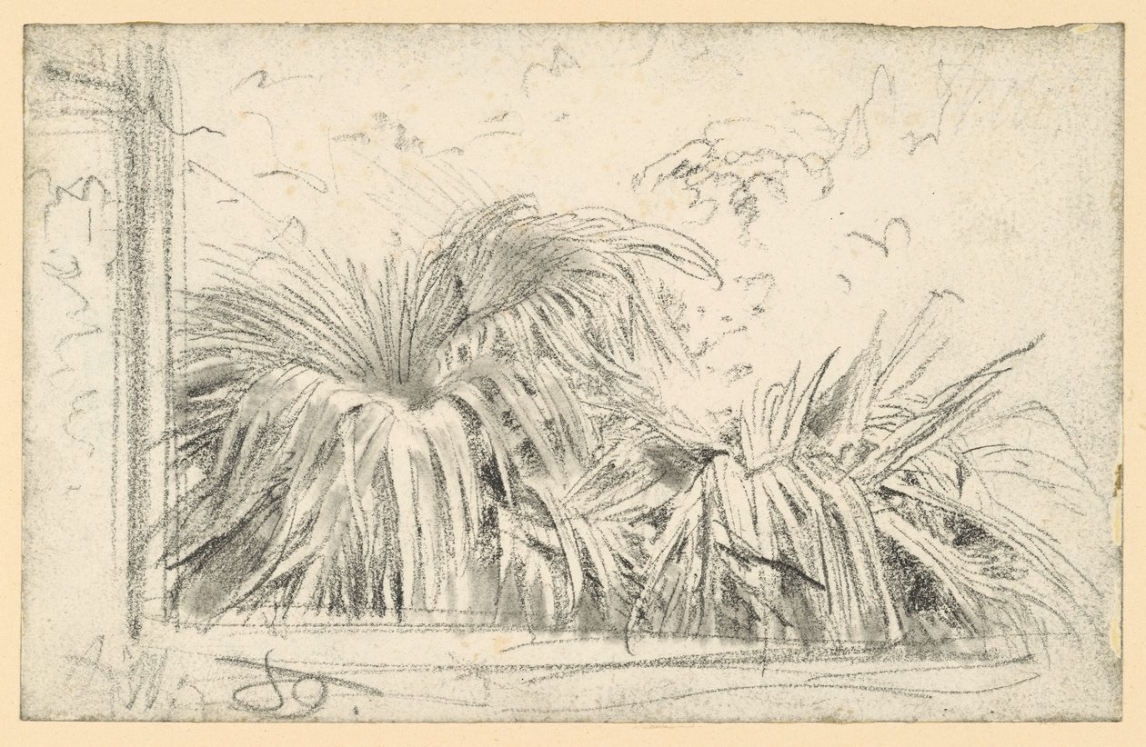 Palmtakjes in het raamkozijn door Adolph Menzel