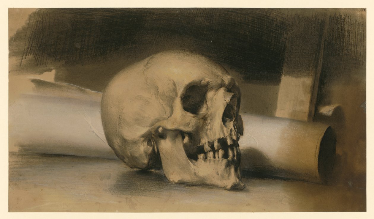 menselijke schedel naar rechts, met daarachter een papierrol door Adolph Menzel