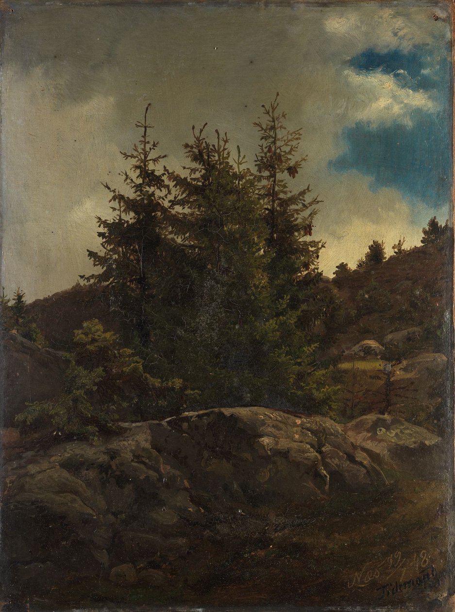 Landschap uit Nes in Hallingdal door Adolph Tidemand