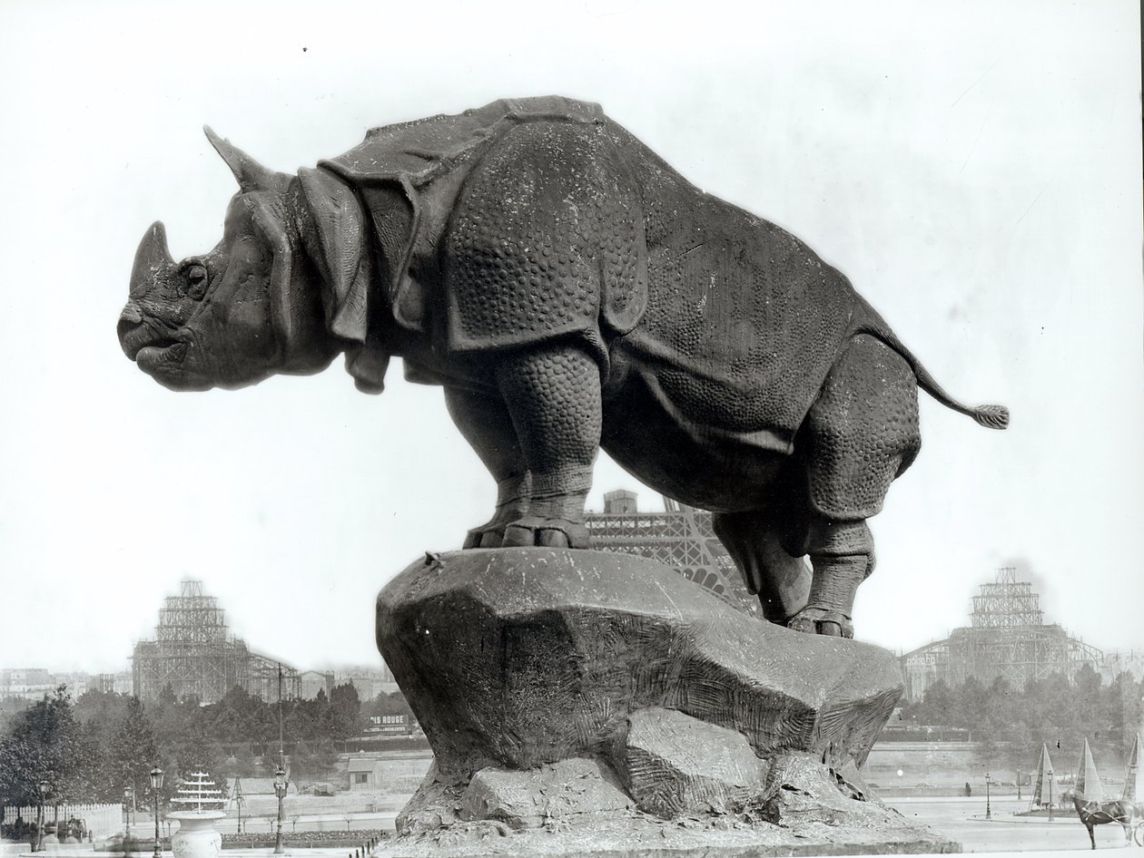 Neushoorn, 1878, door Alfred Jacquemart, voor het Trocadero Paleis, Parijs, 1888 door Adolphe Giraudon