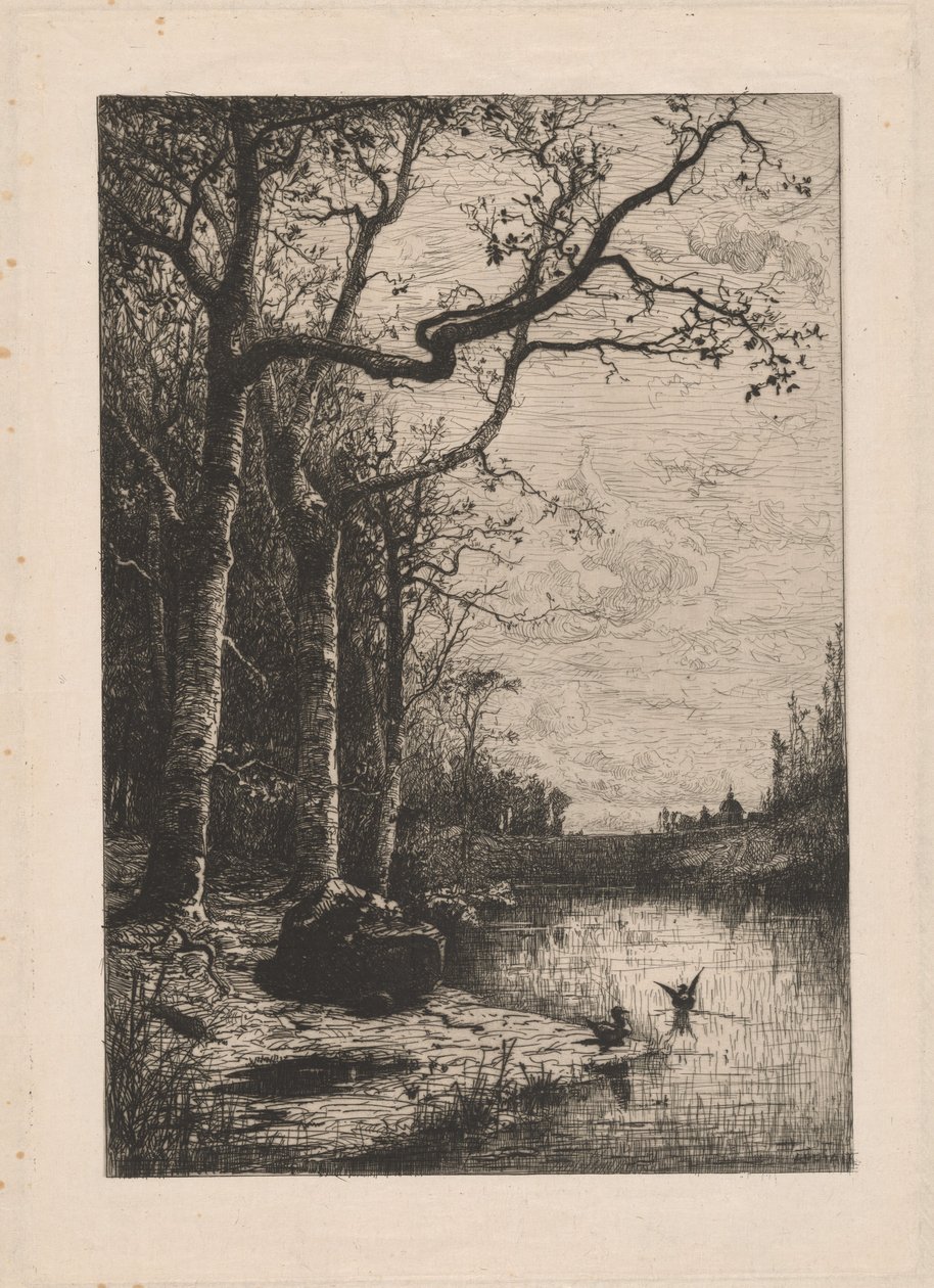 De moerassen van Burbanche door Adolphe Appian