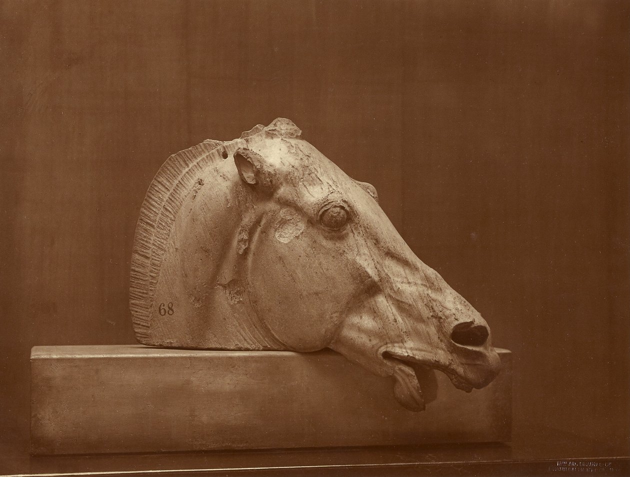 [Paardenkop uit het fronton van het Parthenon, British Museum] door Adolphe Braun