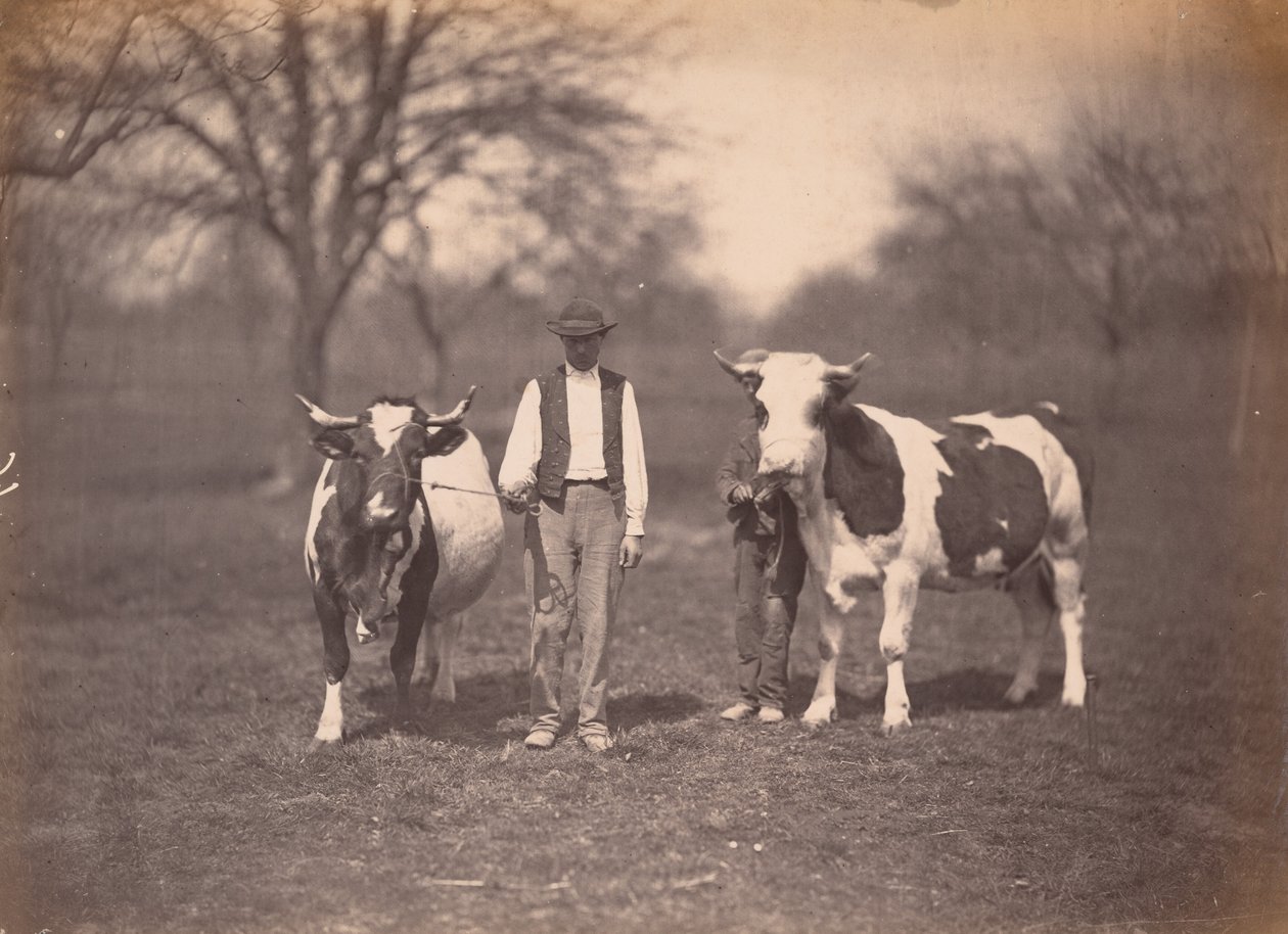 Landschap,c. 1864 (foto) door Adolphe Braun