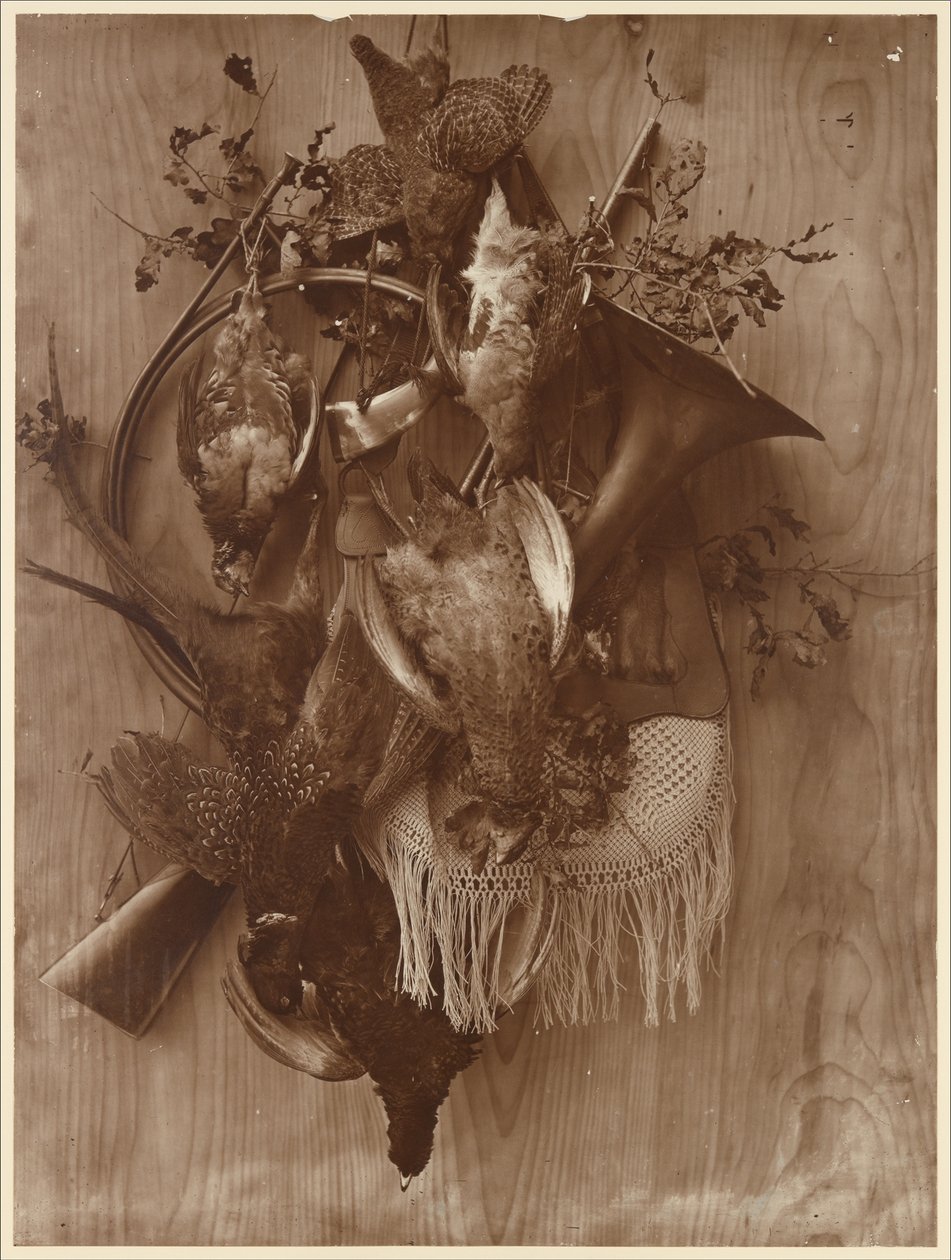 Fazant en korhoen door Adolphe Braun