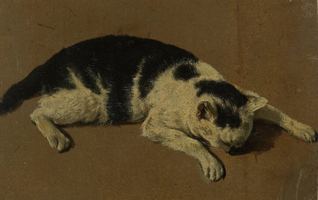 Liggende kat door Adriaen van de Velde