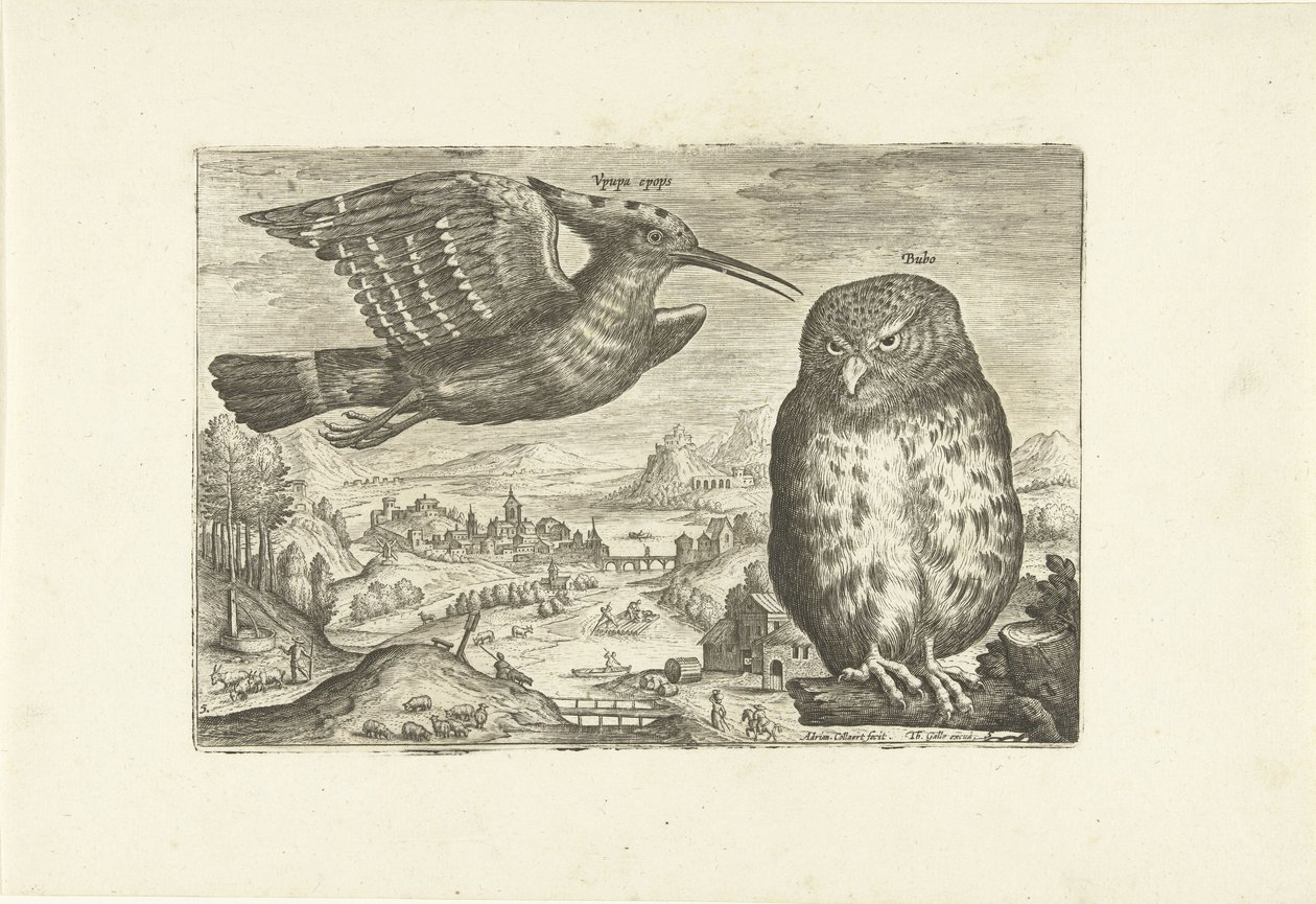 Enkele vogels in een landschap door Adriaen Collaert