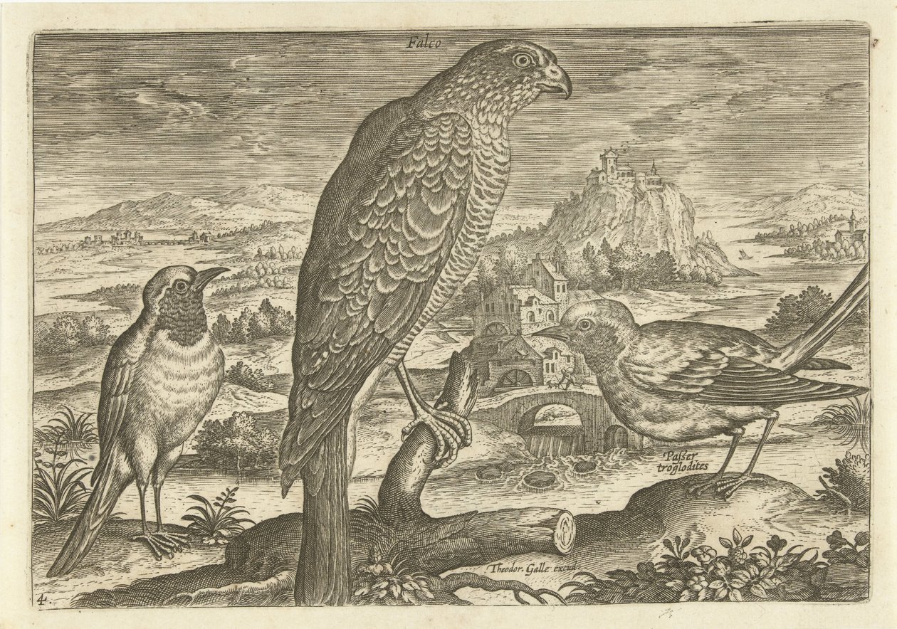 Enkele vogels in een landschap door Adriaen Collaert