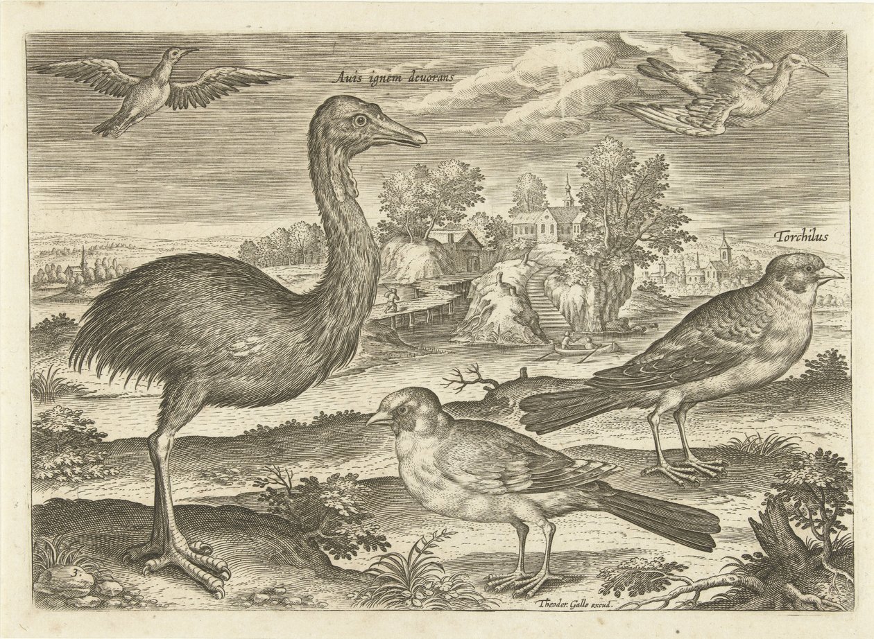 Enkele vogels in een landschap door Adriaen Collaert