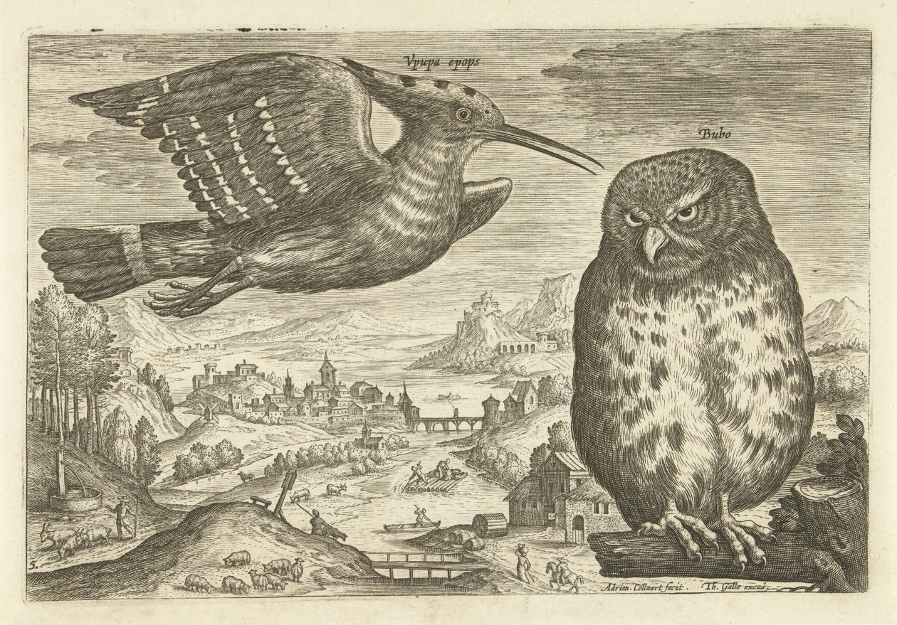 Enkele vogels in een landschap door Adriaen Collaert