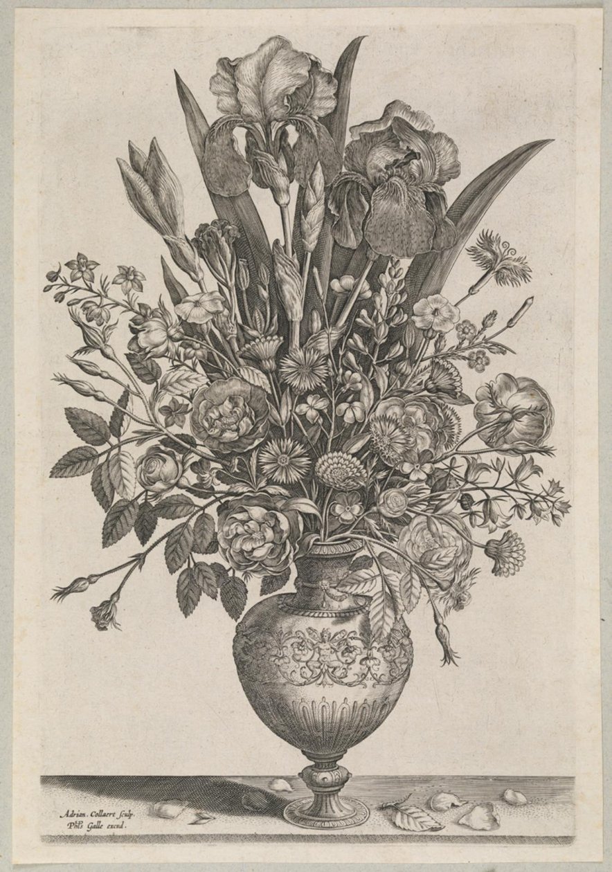 Bloemenstuk met irissen door Adriaen Collaert