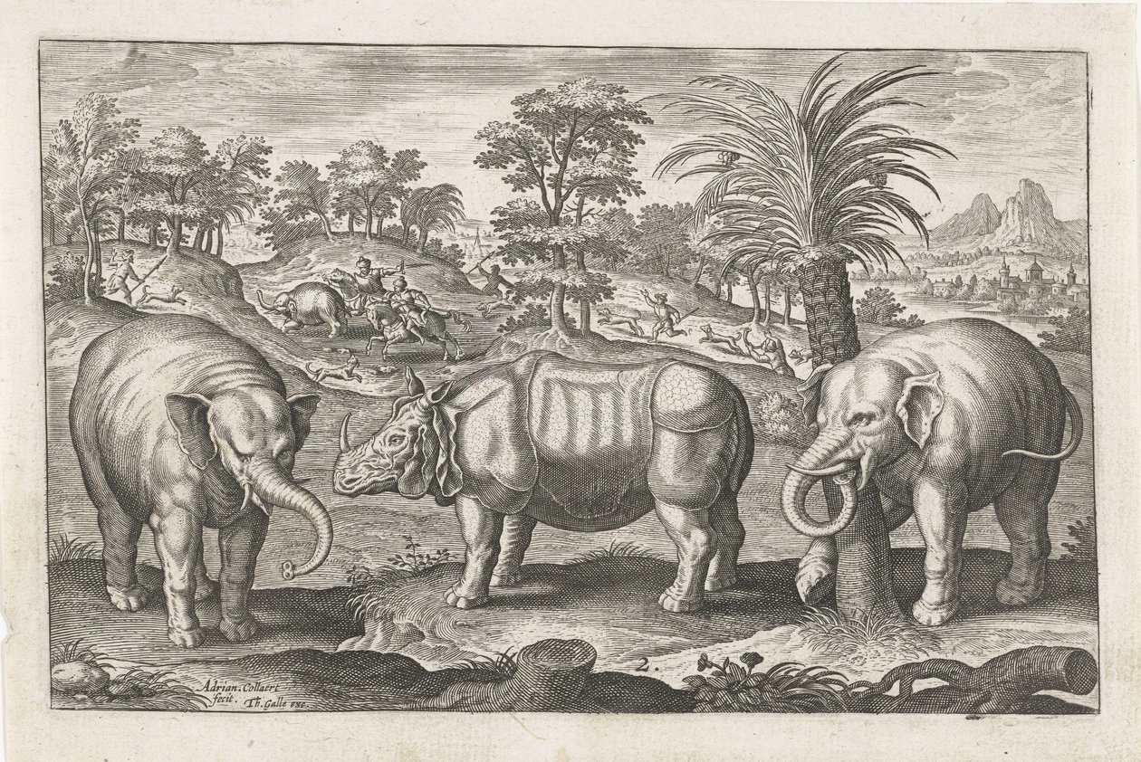 Olifanten en neushoorn door Adriaen Collaert