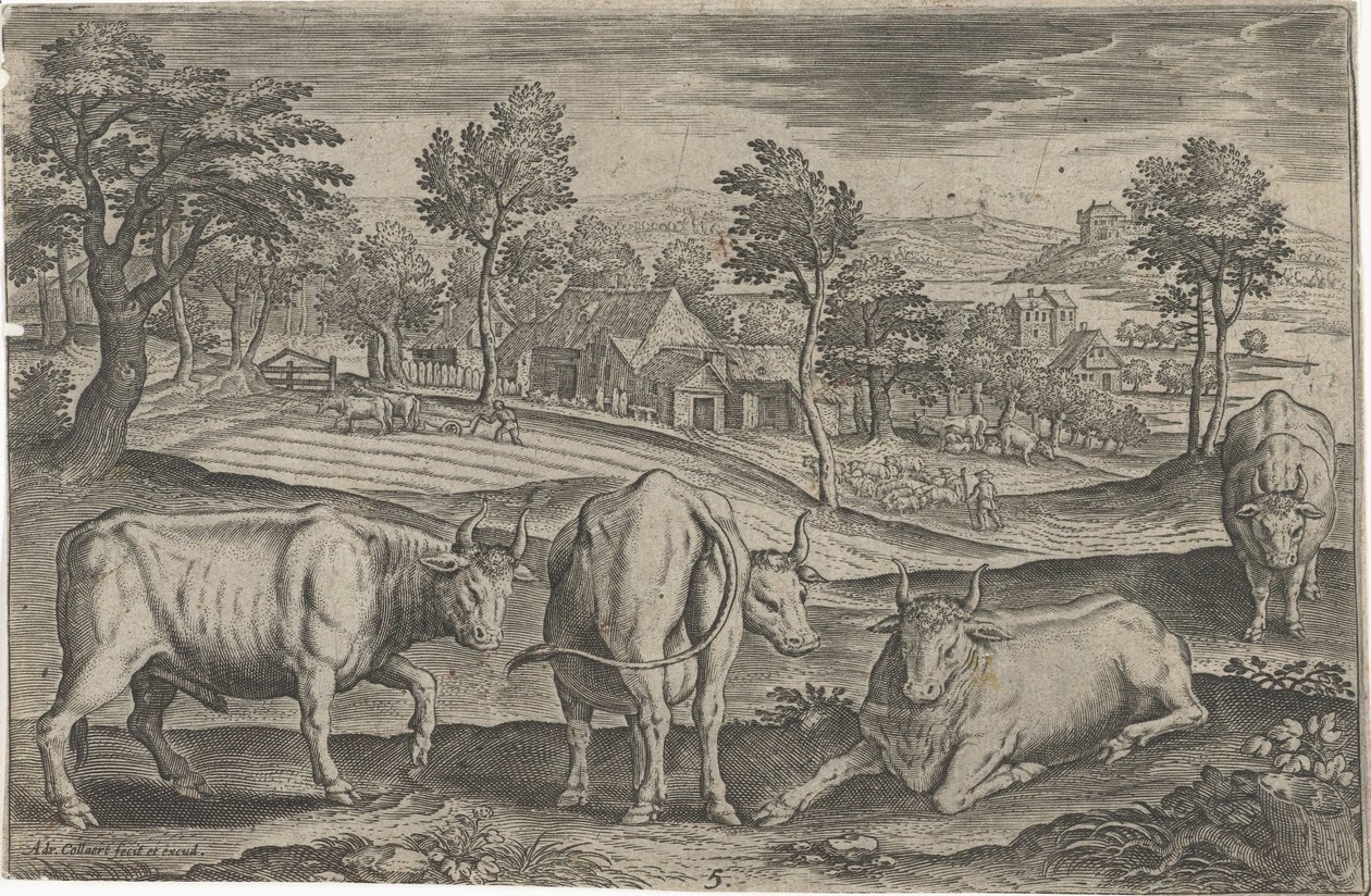 Runderen door Adriaen Collaert