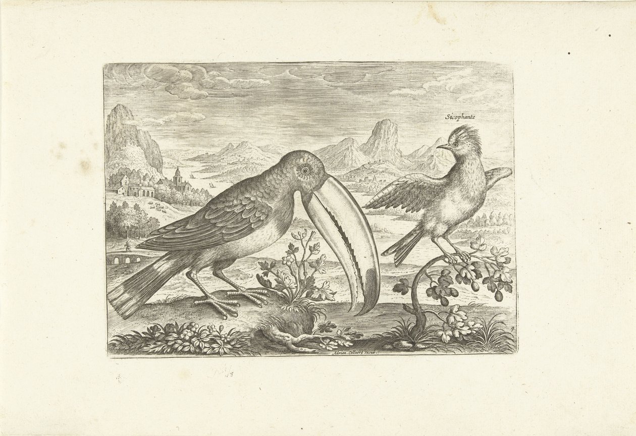 Twee exotische vogels in een landschap door Adriaen Collaert