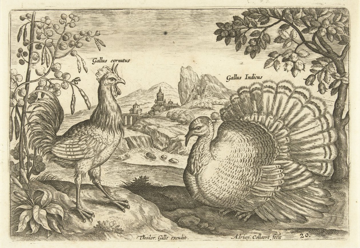 Twee hoenderen in een landschap | Adriaen Collaert