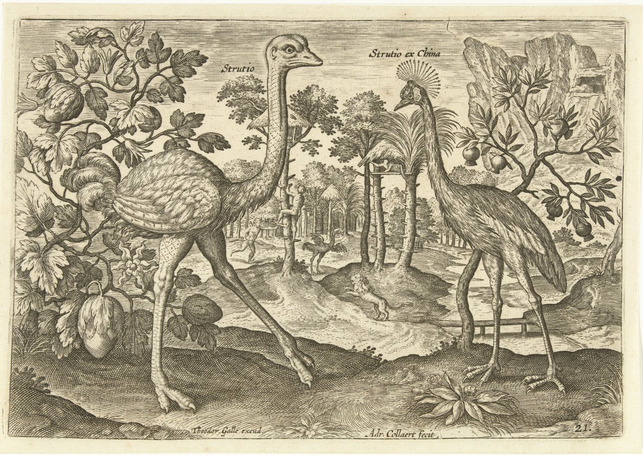 Twee loopvogels in een landschap door Adriaen Collaert