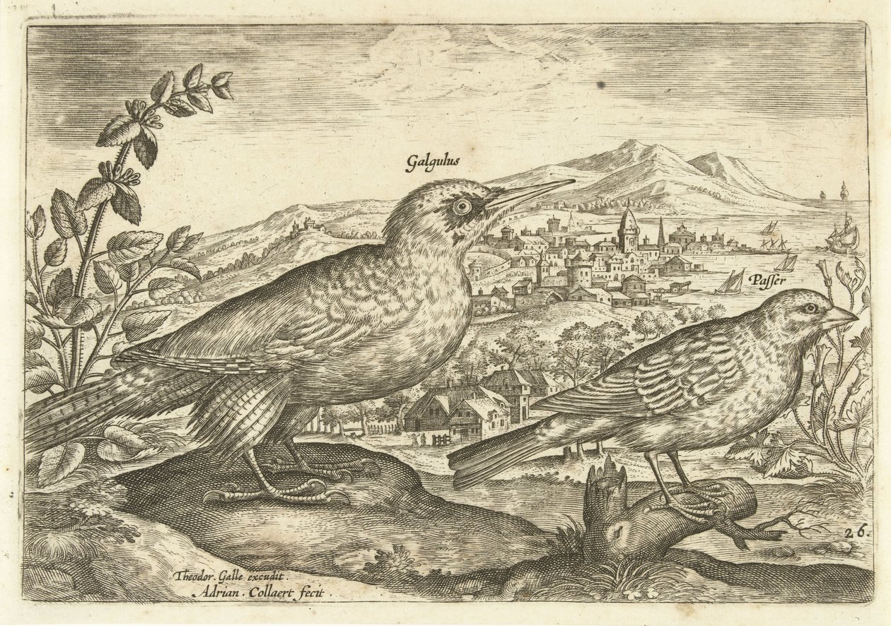 Twee vogels in een landschap door Adriaen Collaert