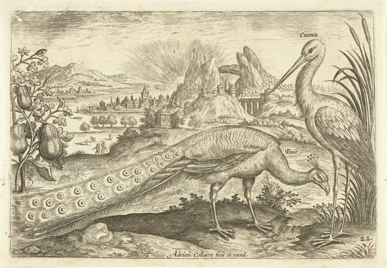 Twee vogels in een landschap door Adriaen Collaert