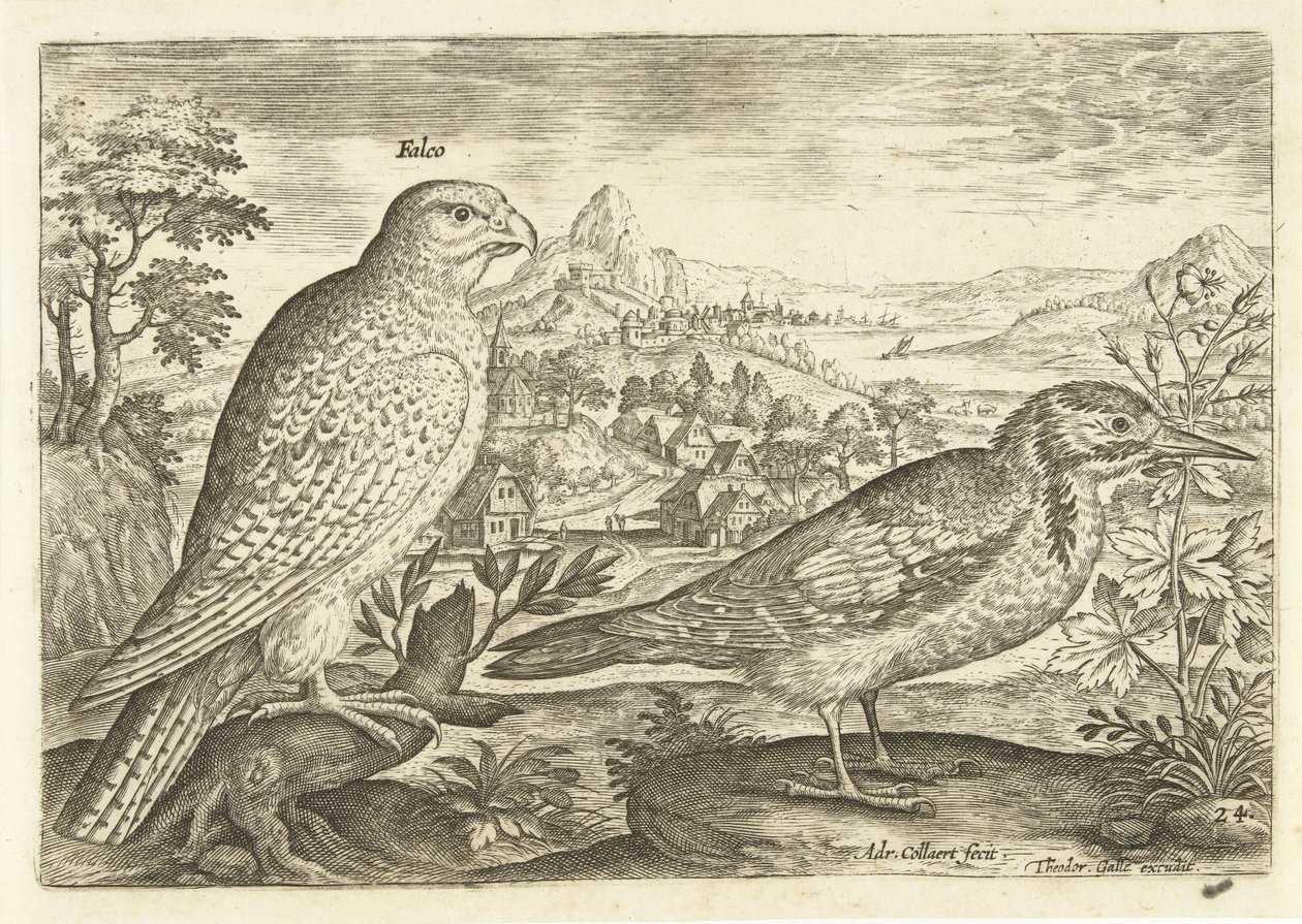 Twee vogels in een landschap door Adriaen Collaert