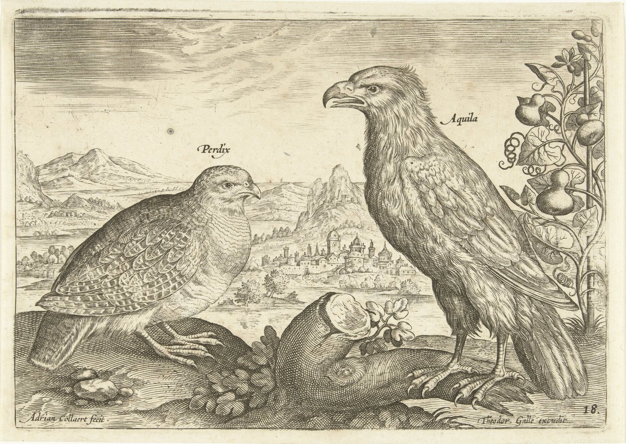 Twee vogels in een landschap door Adriaen Collaert