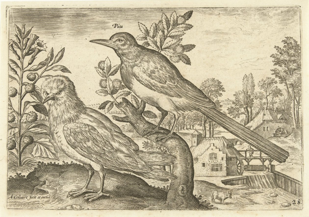 Twee vogels in een landschap door Adriaen Collaert