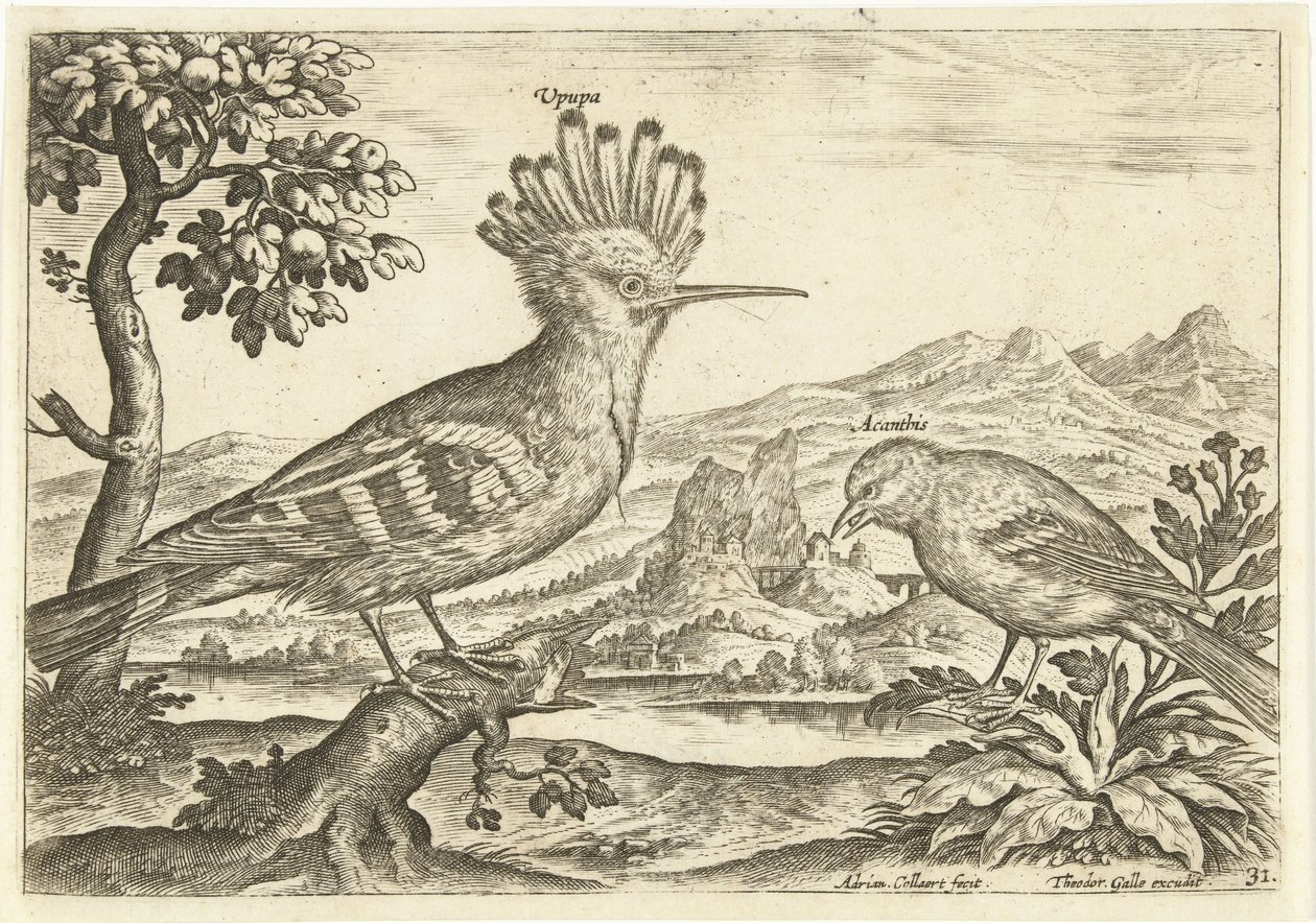 Twee vogels in een landschap door Adriaen Collaert