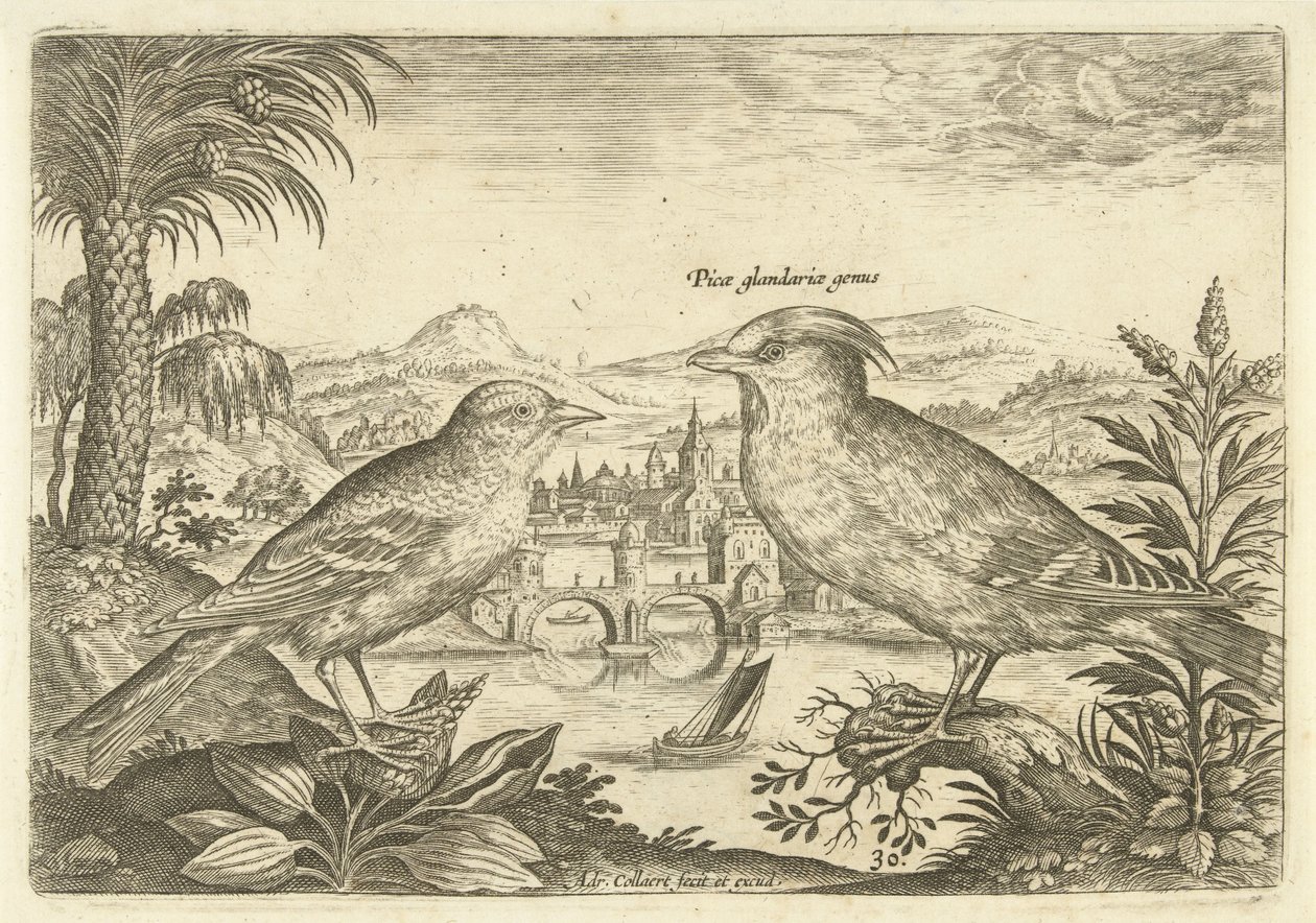 Twee vogels in een landschap door Adriaen Collaert