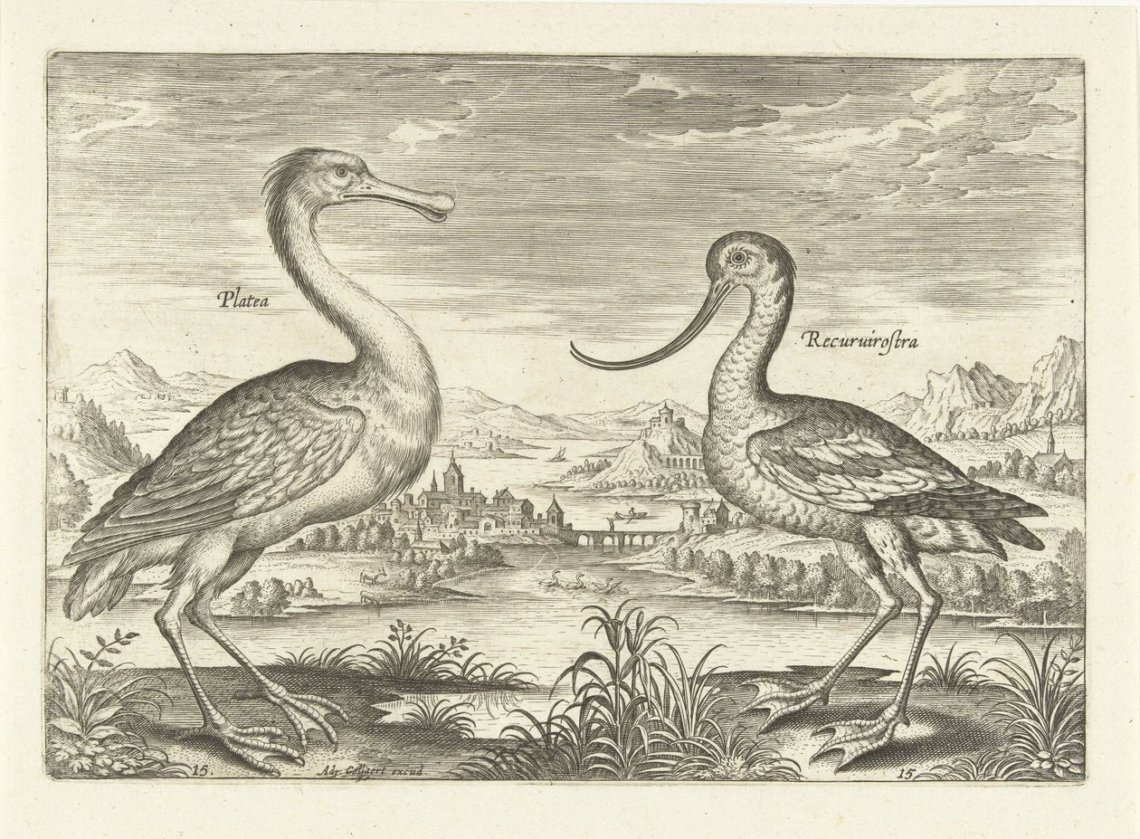 Twee waadvogels in een rivierlandschap door Adriaen Collaert