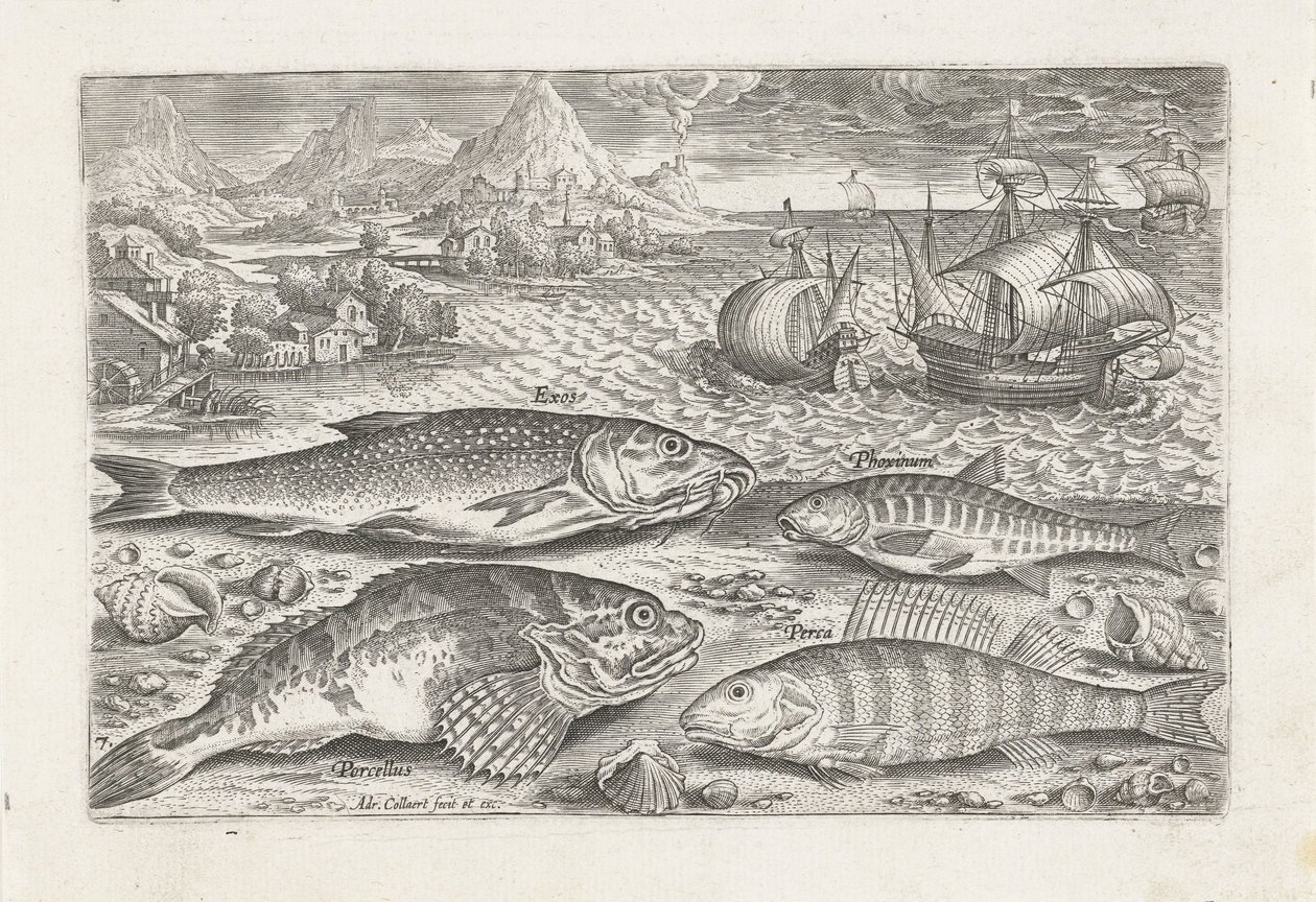 Vier vissen op het strand door Adriaen Collaert