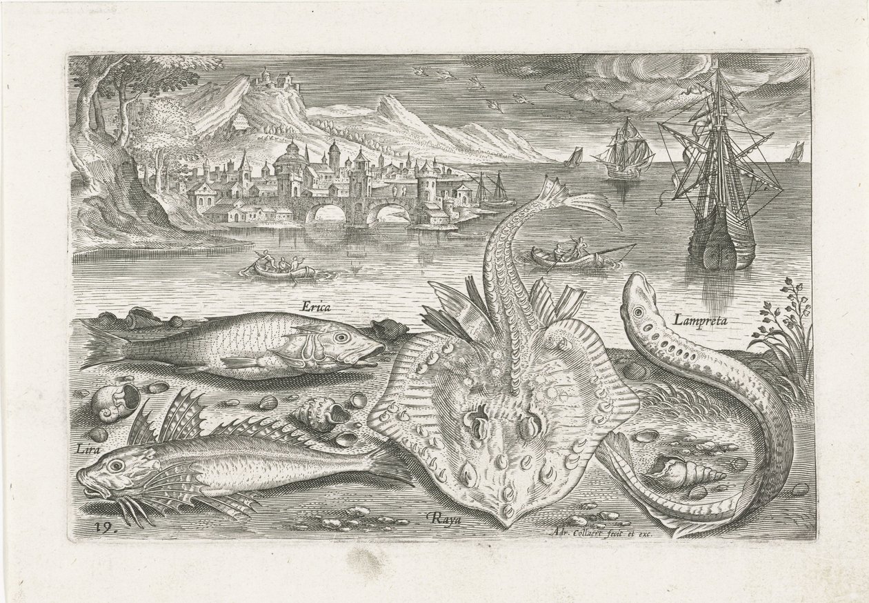 Vier vissen op het strand door Adriaen Collaert