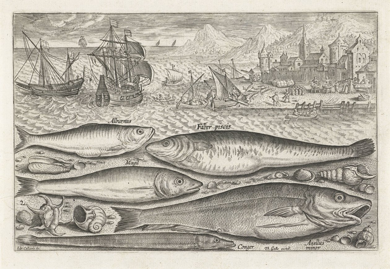 Vijf vissen op het strand door Adriaen Collaert