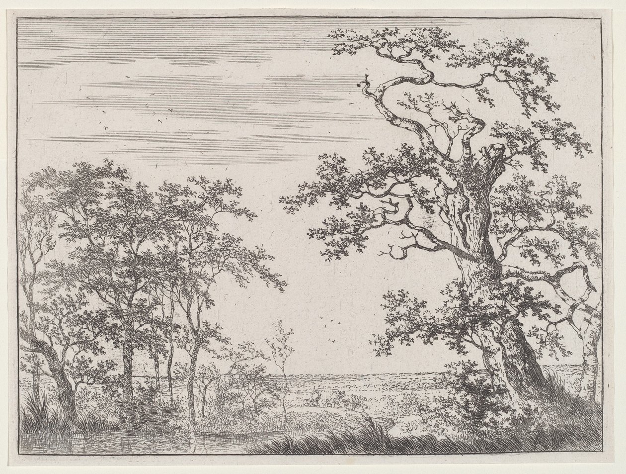 Landschap met een Stroom en een Oude Boom door Adriaen Hendricks Verboom