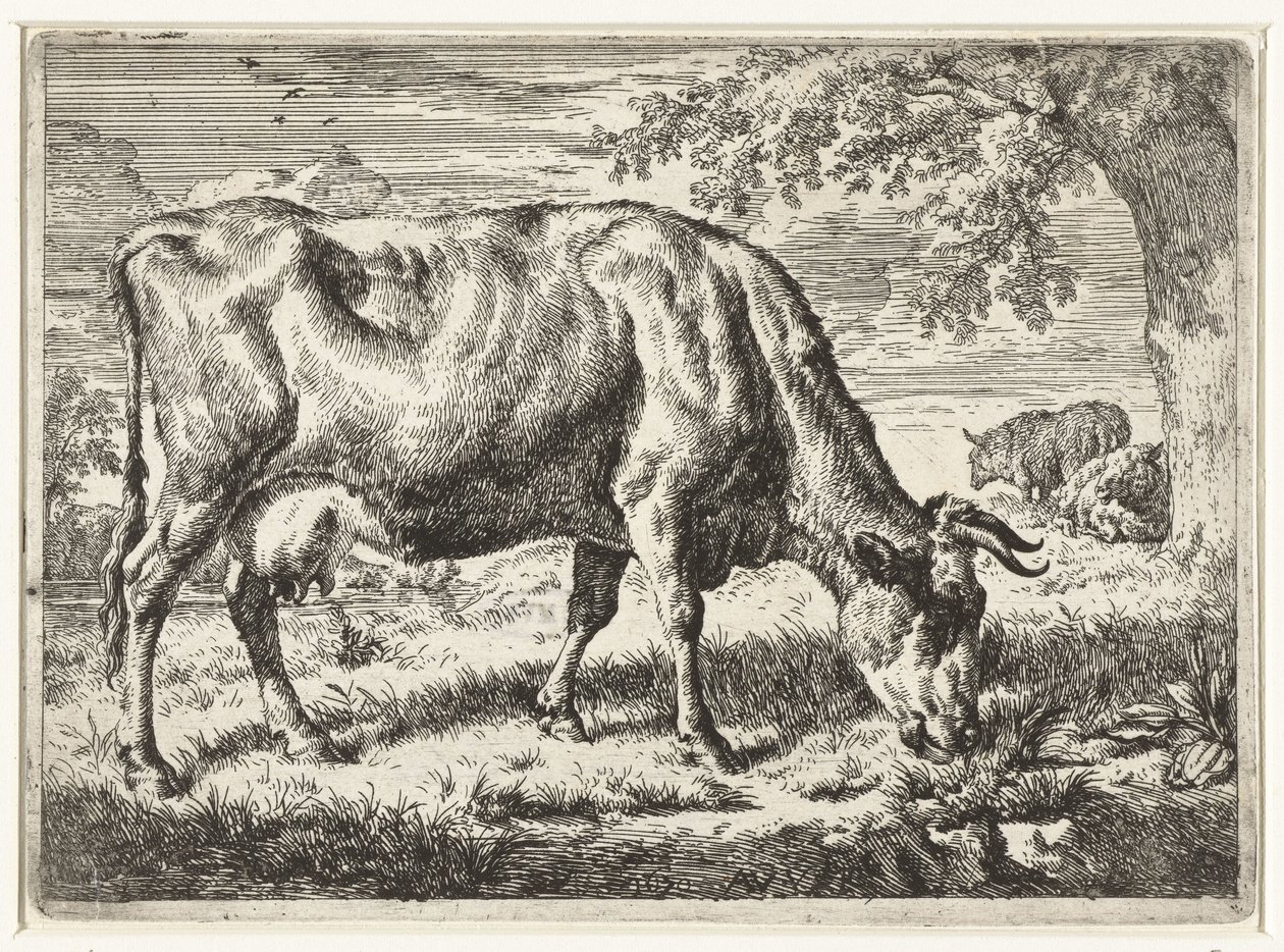 Grazende koe en twee schapen door Adriaen van de Velde