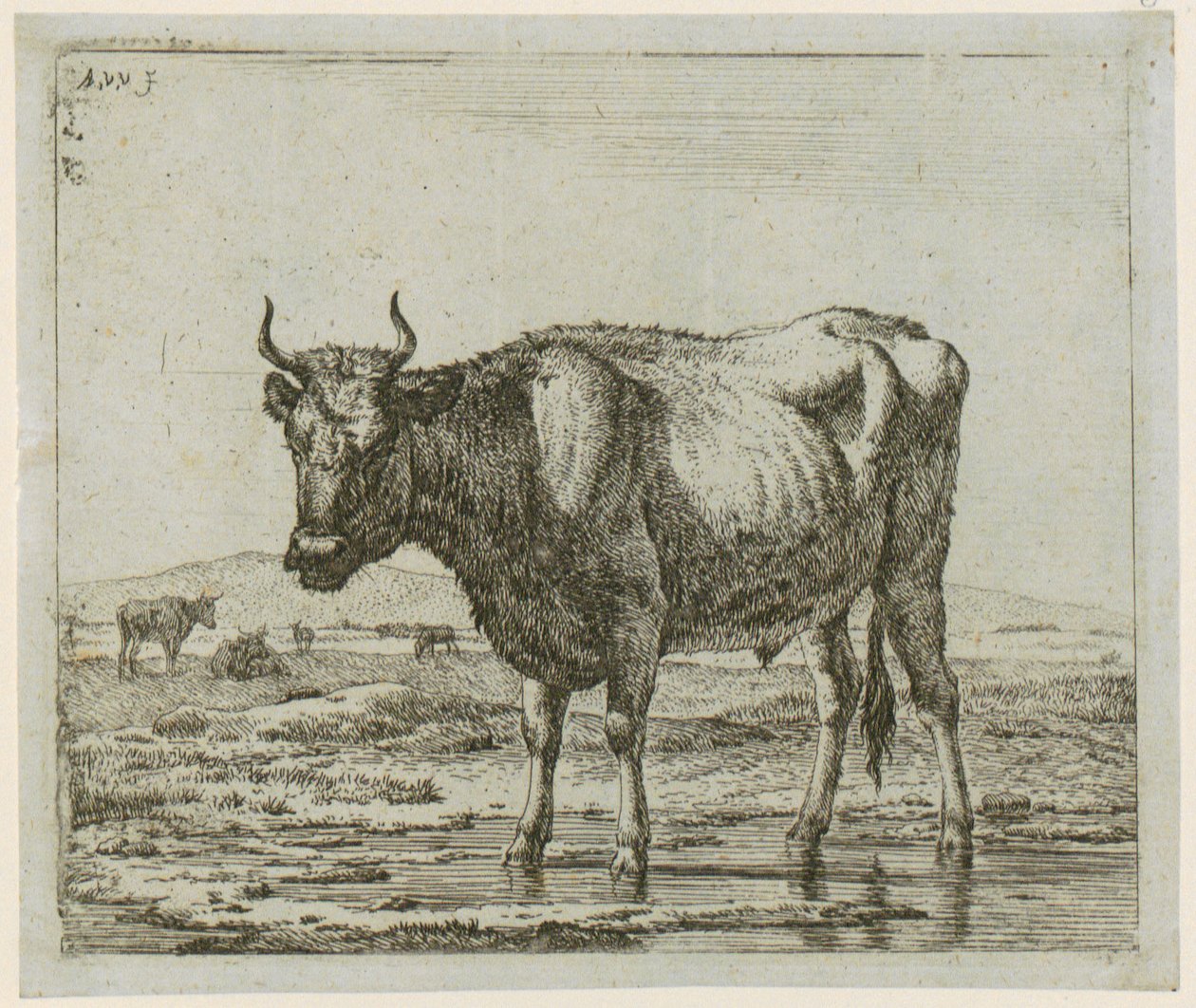 Stier staand in het water, blad 6 uit de reeks „Verschillende dieren“ door Adriaen van de Velde