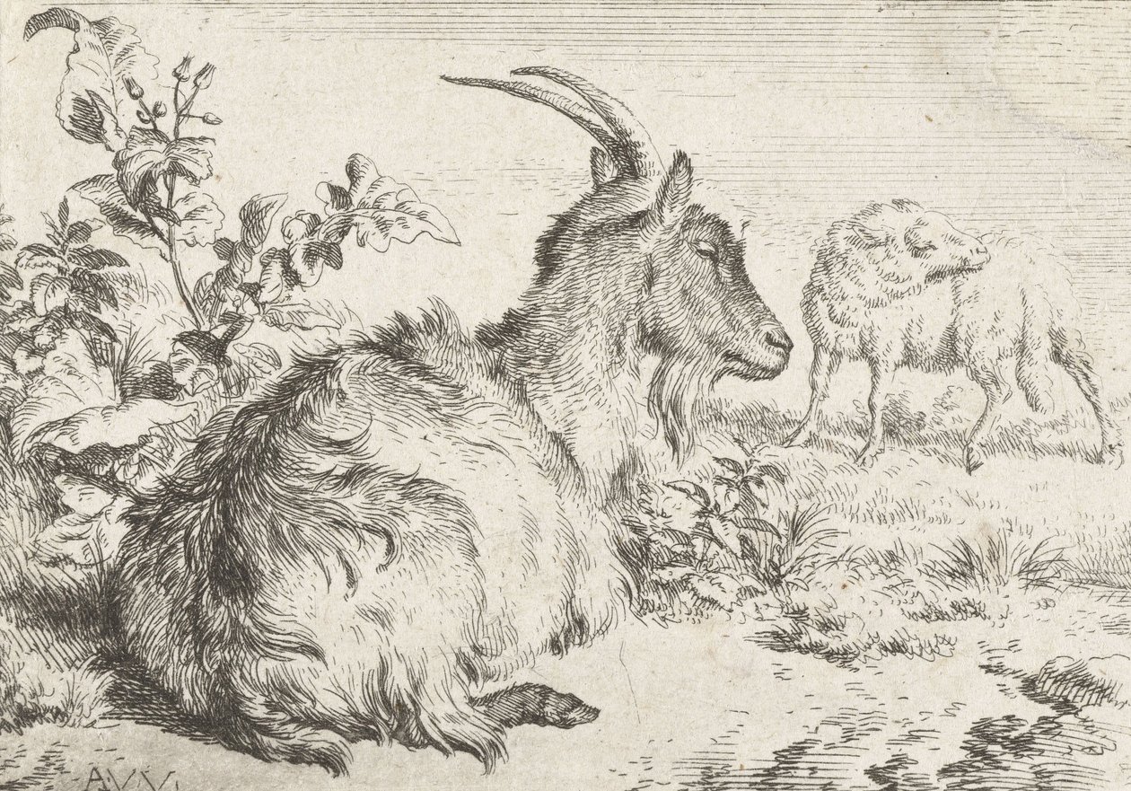 Liggende geit, 1670 door Adriaen van de Velde