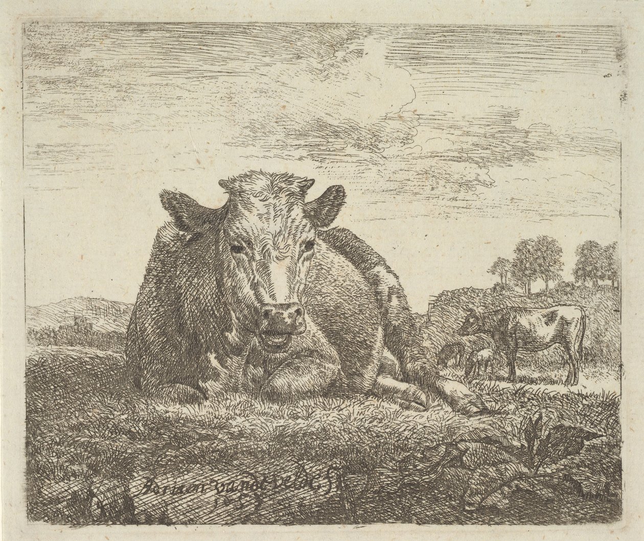 Liggende koe, uit Verschillende Dieren, 1657 door Adriaen van de Velde