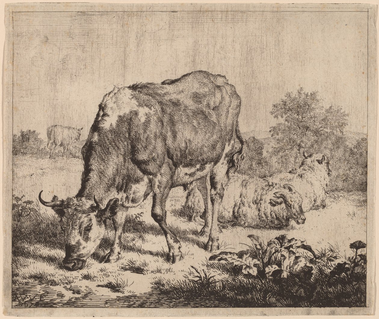 Gevlekte stier en drie schapen door Adriaen van de Velde