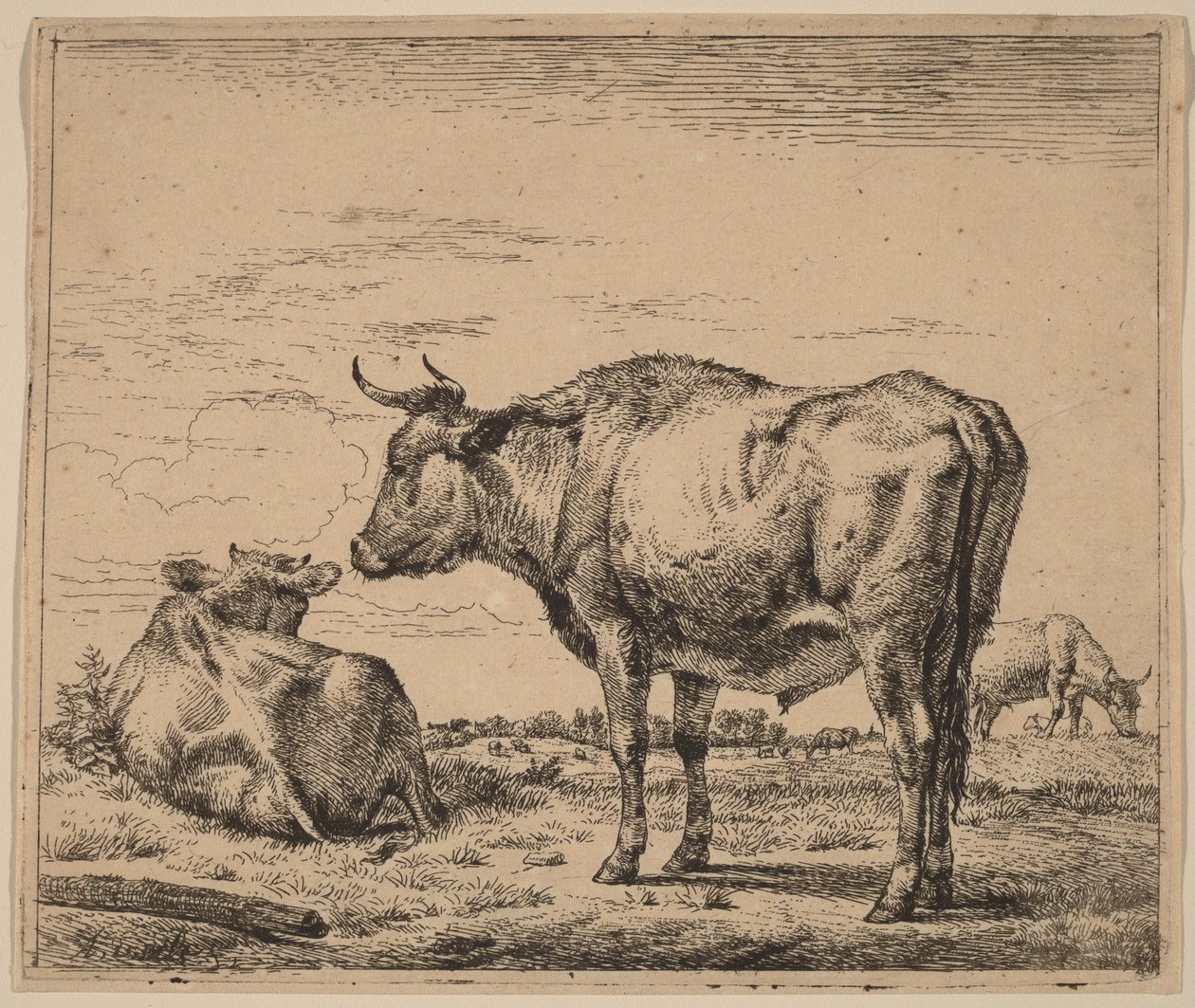 Staande stier door Adriaen van de Velde