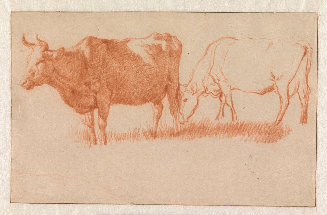 Twee koeien door Adriaen van de Velde