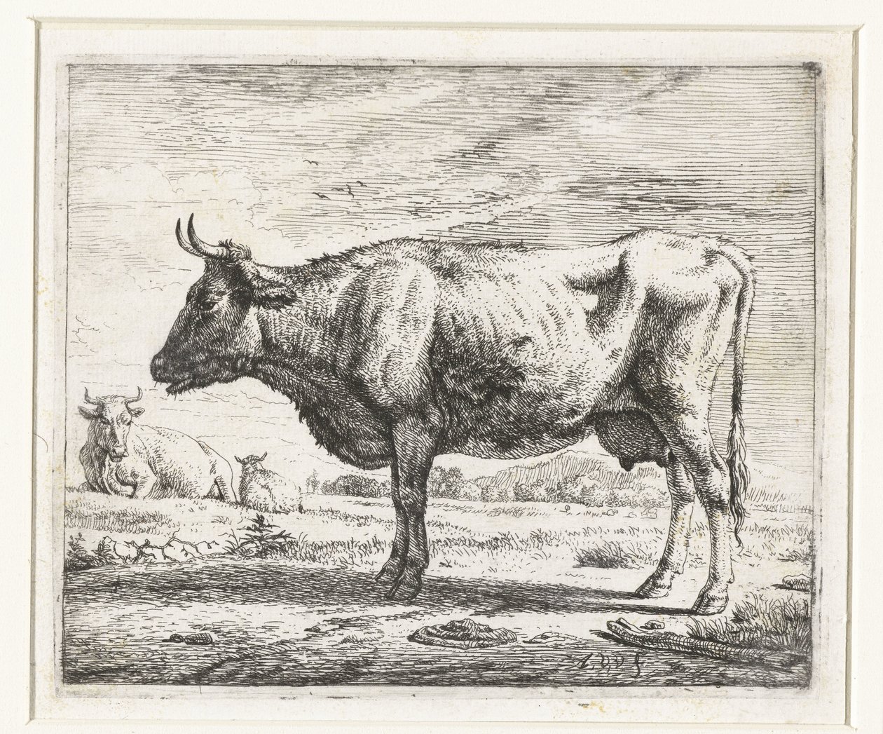 Twee koeien en een schaap door Adriaen van de Velde
