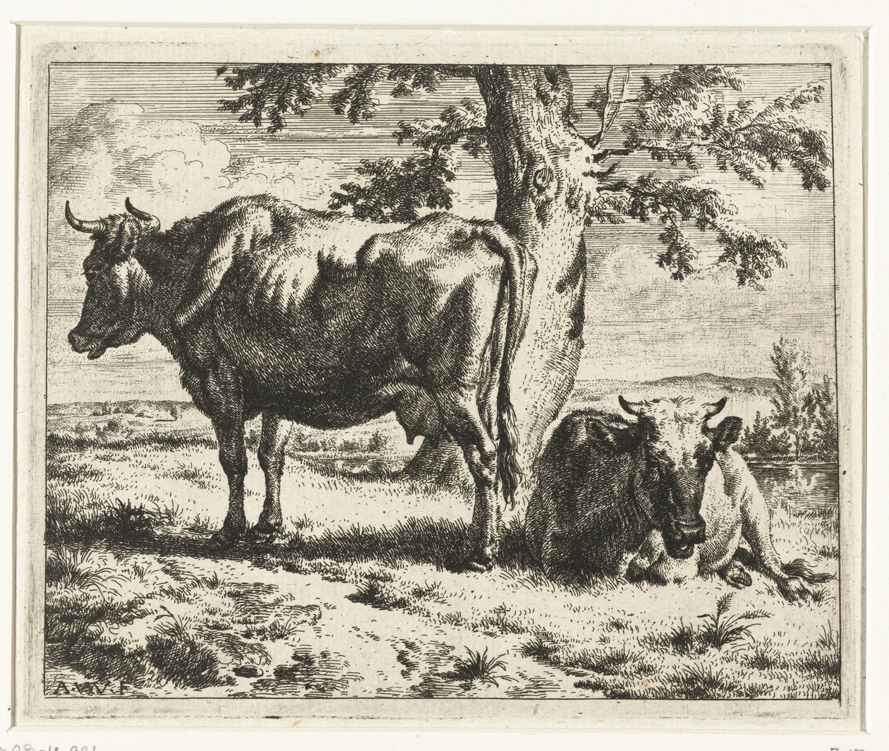 Twee koeien onder een boom door Adriaen van de Velde