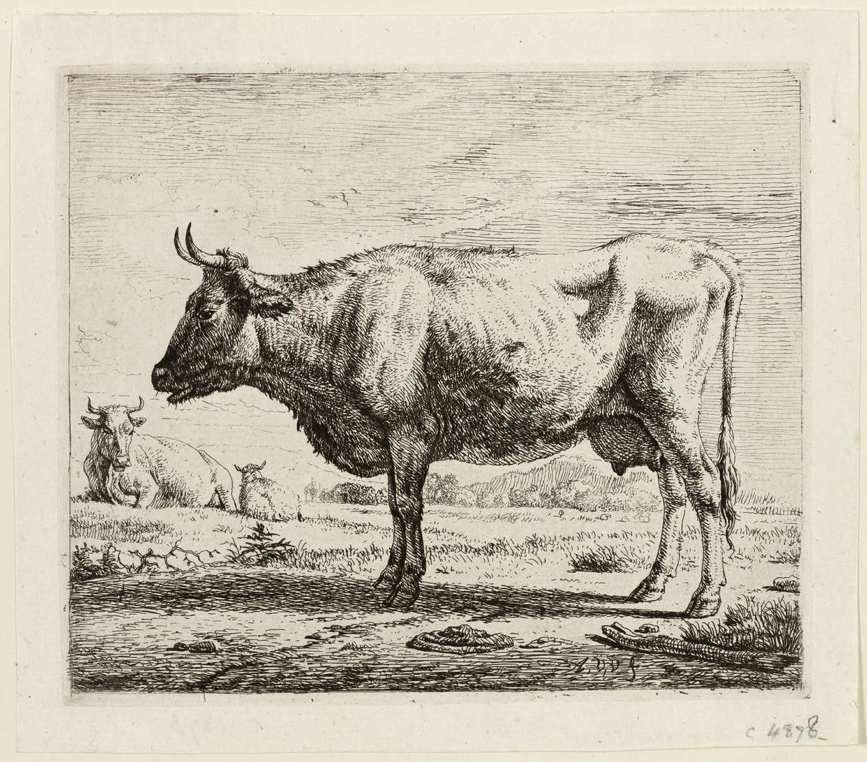 Twee koeien en een schaap door Adriaen van de Velde