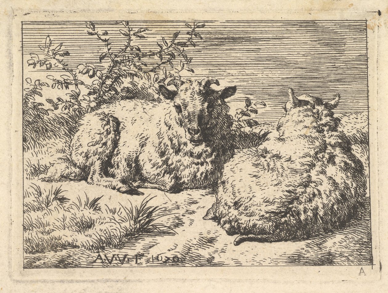 Twee Liggende Schapen, 1670 door Adriaen van de Velde