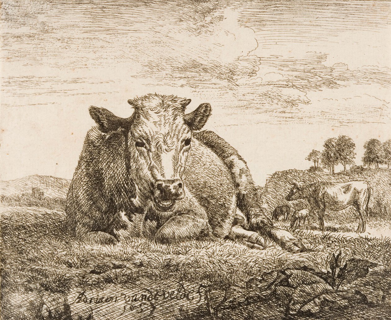 Zonder titel door Adriaen van de Velde