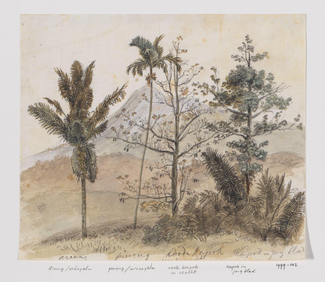 Bomen in berglandschap Java door Adrianus Johannes Bik
