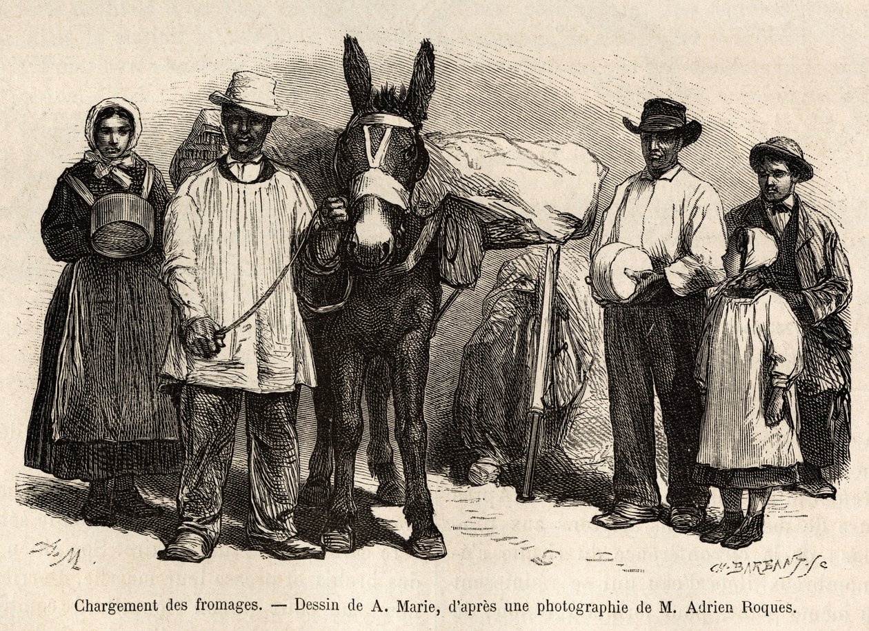 Het laden van kazen op de rug van een muilezel, naar de kelders van Roquefort, gravure naar een tekening van A.Marie, ter illustratie van een reis naar Roquefort en omgeving, door Adrien Roques en Jules Charton, 1874, gepubliceerd in 