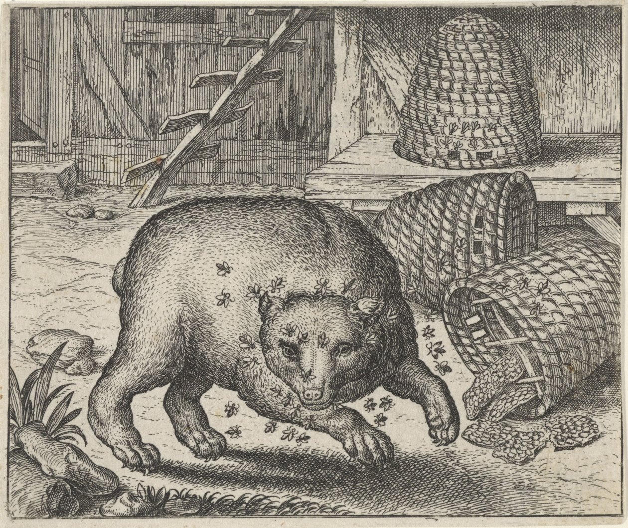Fabel van de beer en de bijen door Egidius  Sadeler (II)