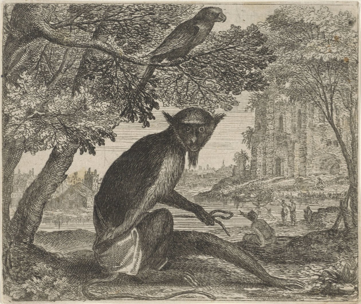 Fabel van de papegaai en de aap door Egidius  Sadeler (II)