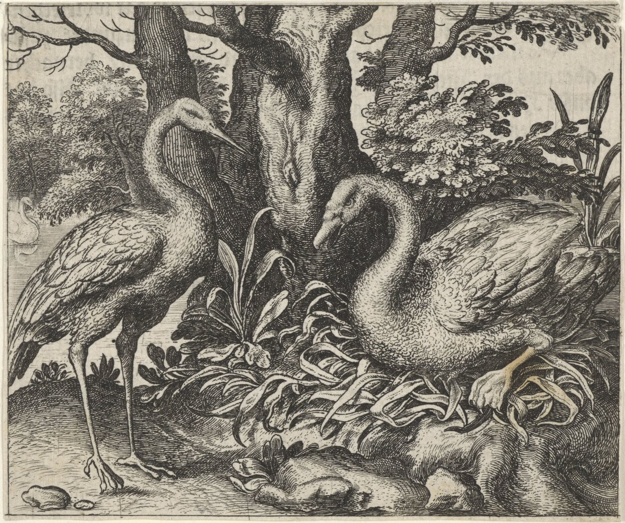Fabel van de zwaan en de ooievaar door Egidius  Sadeler (II)