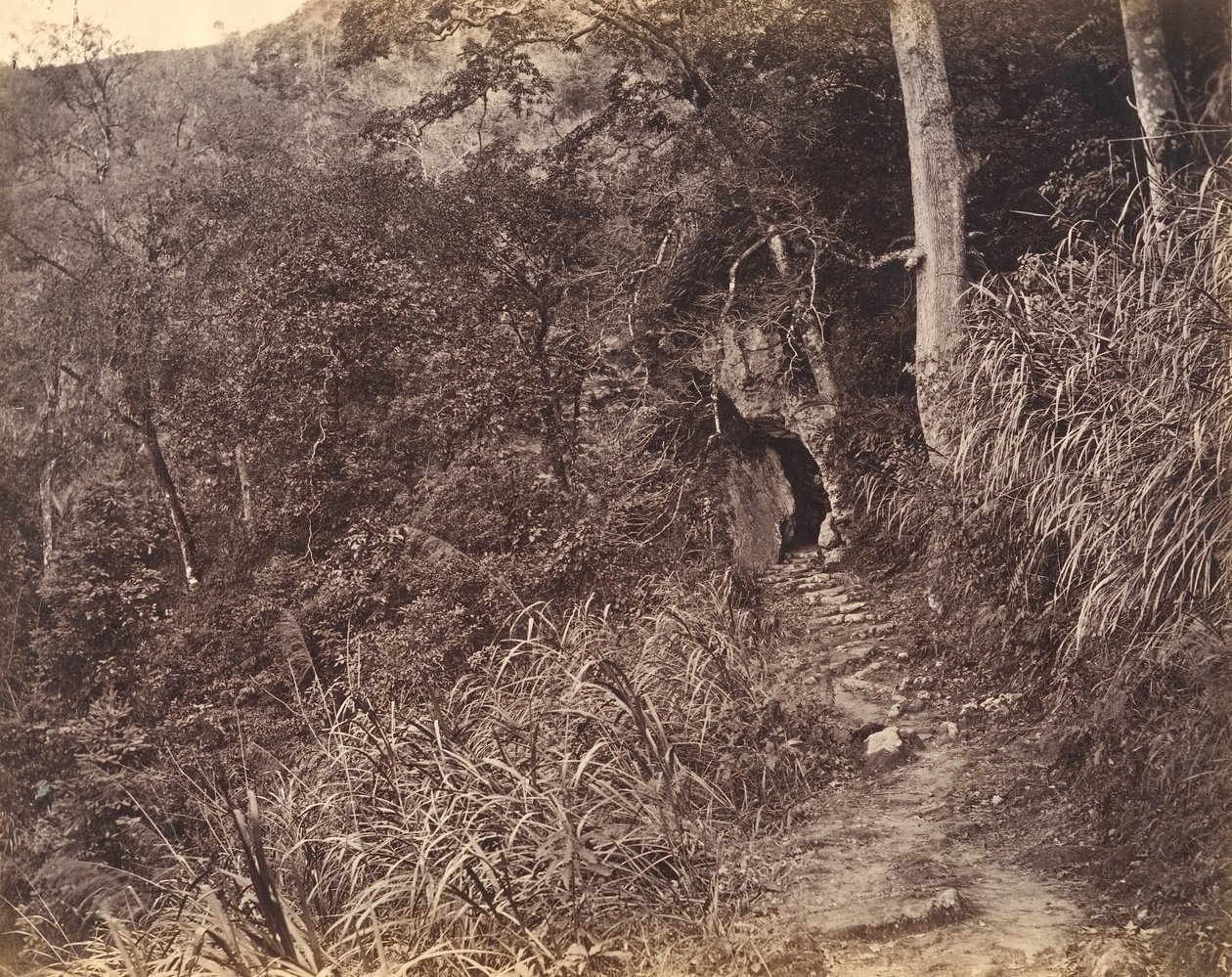 Weg naar het Yuen foo-klooster, ca. 1869 door Afong Lai